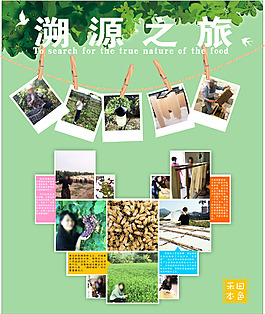 天天信宜溯源之旅图片排版设计