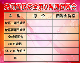 雪铁龙团购会展板图片