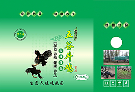 五谷斗鸡图片