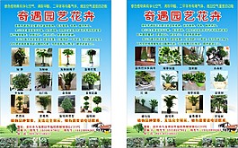 园艺传单