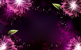 星空中的花