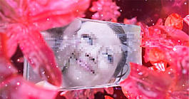 水晶花童话婚礼AE模板