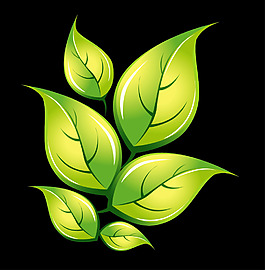 矢量绿叶