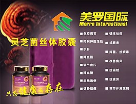 美罗国际