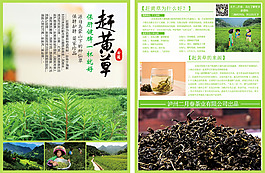 茶叶宣传单