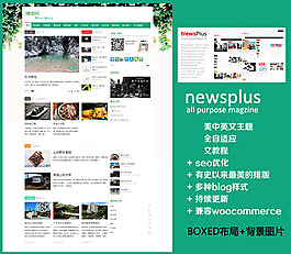 新闻杂志门户完美中英文模板