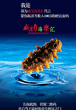 海参二维码