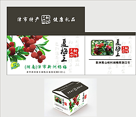 杨梅外箱图片