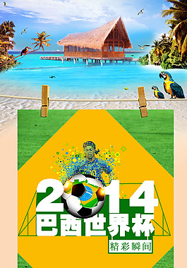 巴西世界杯