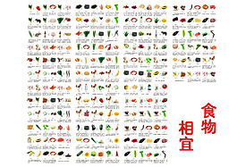 食物相宜