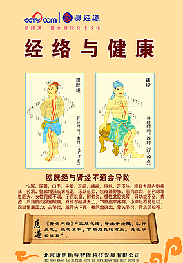 经络图