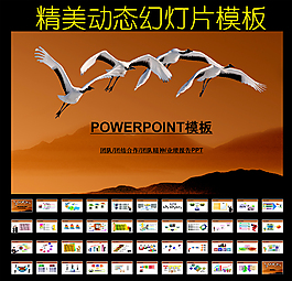 团队合作团结业绩报告PPT模板