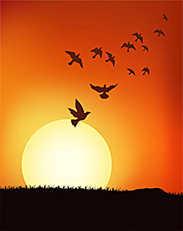 美丽夕阳剪影
