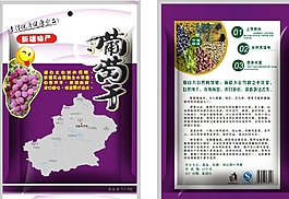 新疆葡萄干图片