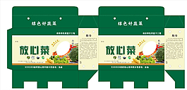 放心菜图片