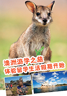 澳洲旅游海报