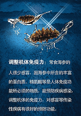 海参宣传