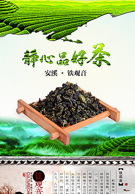 铁观音茶叶
