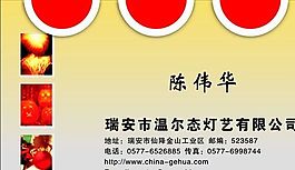 名片模板 五金灯饰 平面设计_0320