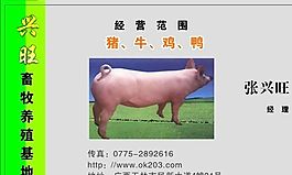 名片模板 农林化工 平面设计_1540
