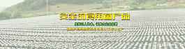 淘宝蘑菇banner