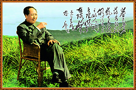 花草毛泽东文字河水