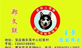宠物类 名片模板 CDR_4543