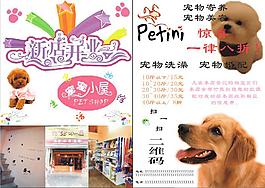 宠物店宣传