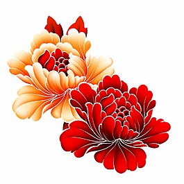 牡丹花