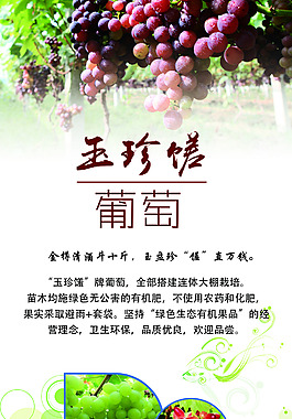 葡萄宣传展架