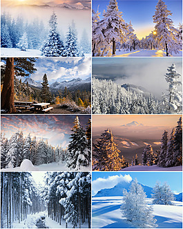 冬天雪景背景