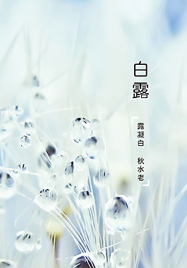 白露