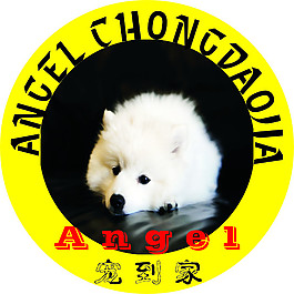 雪幻LOGO