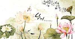 莲花水墨画