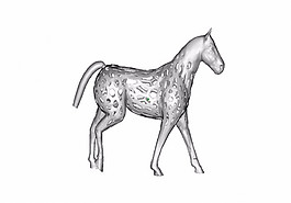 马匹3D打印模型