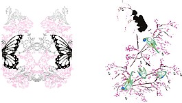 蝴蝶   鸟  花