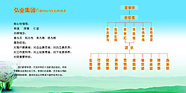 企业结构图