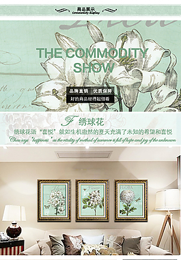 淘宝详情页  商品展示