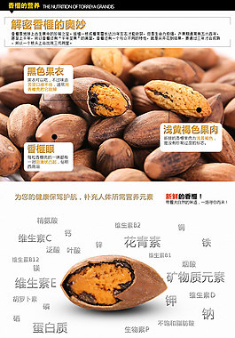 香榧营养