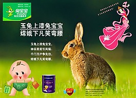 玉兔上漆兔宝宝