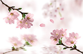 樱花源文件