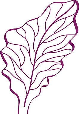 菜