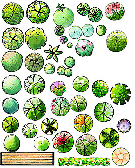 樹平面圖塊園林上百種cad平面圖例植物園林平面圖建築園林園林景觀