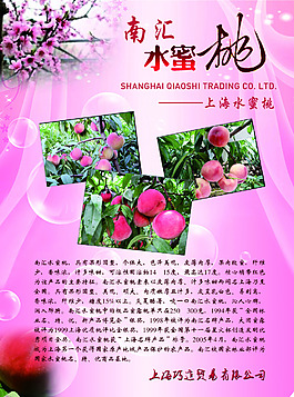 水蜜桃宣传单