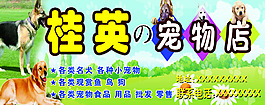 宠物店