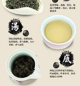 淘宝茶叶店详情页PSD