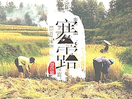 寒露