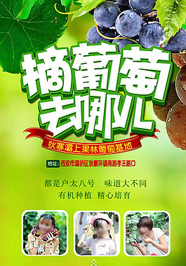 农家乐 葡萄园 采摘园 APP页面