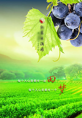采摘园  葡萄园创意APP页面