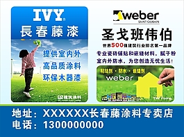 长春藤漆圣戈班伟伯